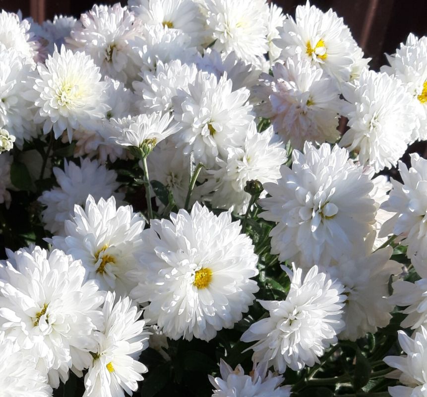 ����������: ���������� ������ � ������ ����