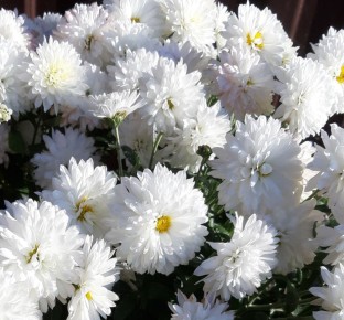 ����������: ���������� ������ � ������ ����