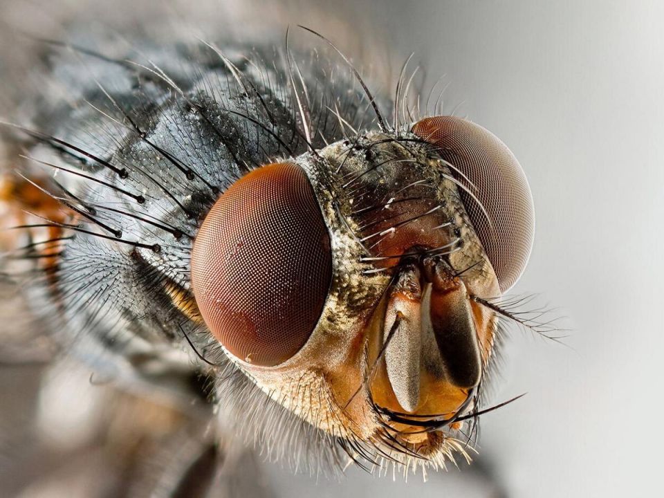 ��� �������� �������� ��������� ������: �������� ������ ��� ���������