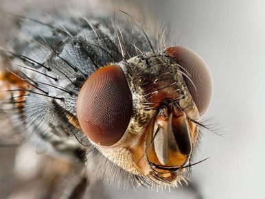 ��� �������� �������� ��������� ������: �������� ������ ��� ���������