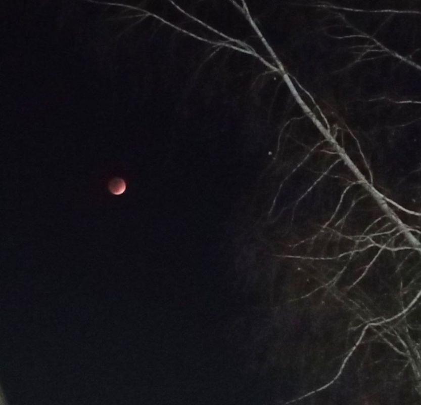 ����� ��������� ������ �������� � �����