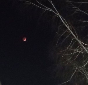 ����� ��������� ������ �������� � �����