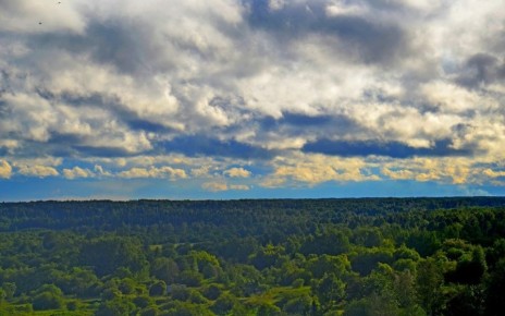 ������ ������� �� ��� �� ���������� ��� ���������, ��� �� ������