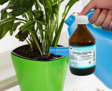 �������� ��������: ������� ���������� ��� ������ ��� �����, � ������� ����� �����