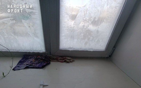 ����� ����� � ��������� � ���� ������� ��������� ��������� �����