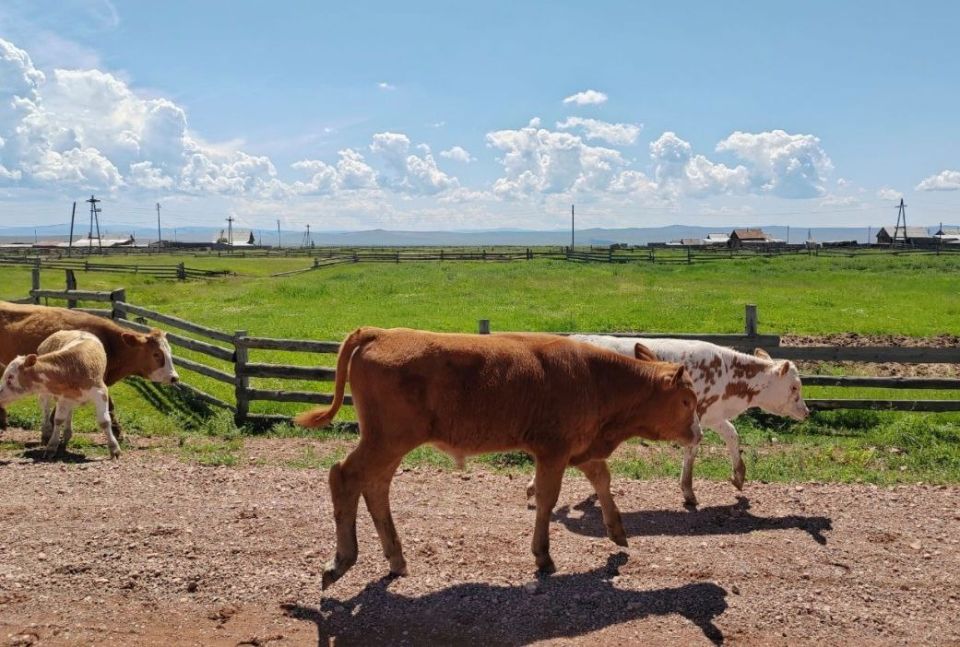 ��� ���� ��������� ������ ������� � �������