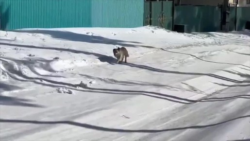 ��������� ������ � ����������� �������������