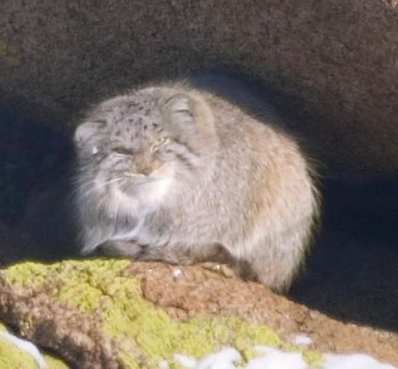 ���� �������: � ������� ����� ���� ����������� � ��������