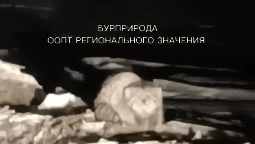 �������������� ������ ������� � �������������� ������