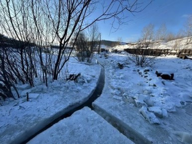 ��� ����-��� ������� ��������� ������������ ��� ����������� ��������