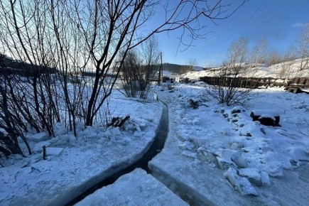 ��� ����-��� ������� ��������� ������������ ��� ����������� ��������