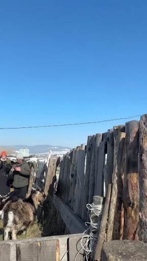 ���� ��������� ������ �������� � �������-�������� �� ����� ����������