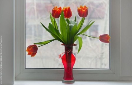 � ������� ��������� ���������������� ����� 8 �����