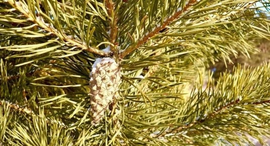 ���� ����� � ������ ������!