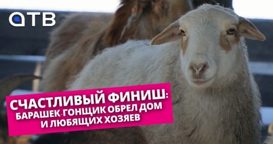 ���������� �����: �������-������ ����� ��� � ������� ������