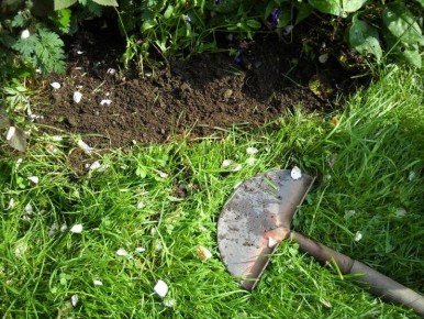 ����������� ������ ������ � ��������� ��� ���������� �������