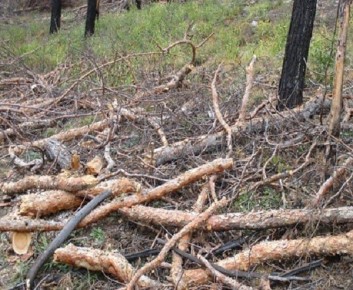 � ������� ������� ����� ��������� � ������������ ���������� ������