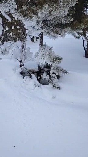 #��������. ��� �� ��������? ��������� �����, ���� ��������