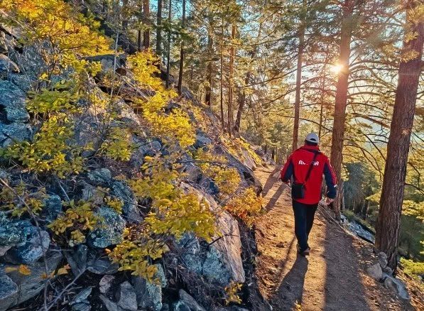 1 17 ������������� ���� ������� � ��� �� ����� ����