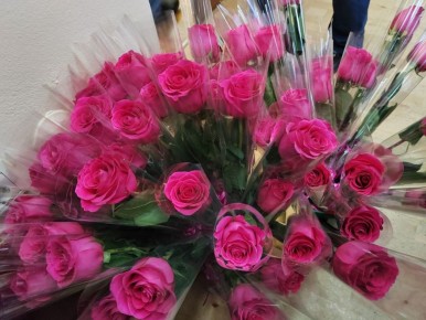 ��� �� ����� ��������� ���������� � 8 �����