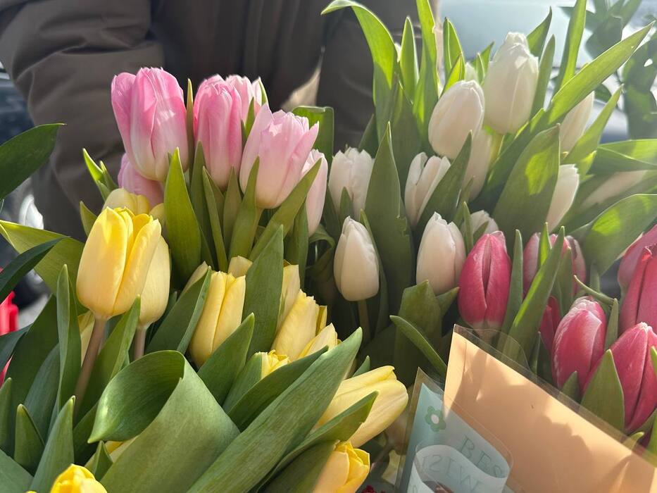 Тысячи тюльпанов украсили Улан-Удэ 8 марта