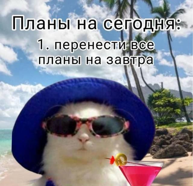 Утро понедельника никогда ещё не было таким добрым, ведь выходные продолжаются!