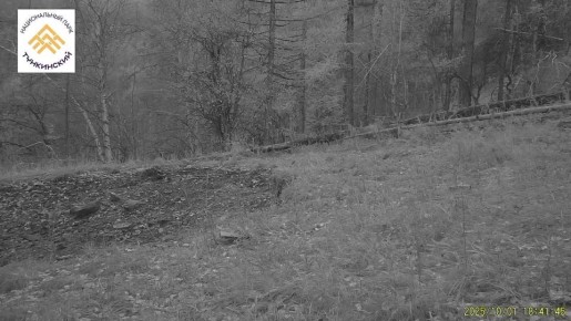 ����������� ����� ������ ������� � ���������� ��������