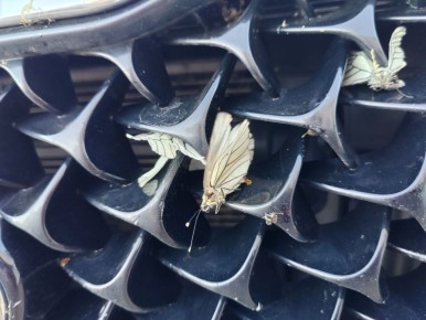 ������ ����������� �������� ��������� ������� ���� �����