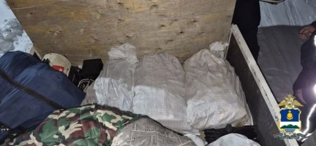 ���� ������� ������� ��������� �������� ����� �� 1,7 ��� ������