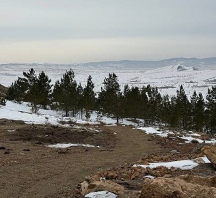 � ��������� ����-��� �������� �������������� ��������� �� ���� ���������