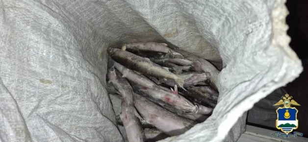 � ����-��� ����������� ������ ������� ������ ��������� �������� �����