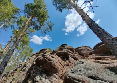 �� ����� ����������������� ��� ������ ������������� ��������� ��������� ����������� ����������� ��� ������ ��������� �� ���