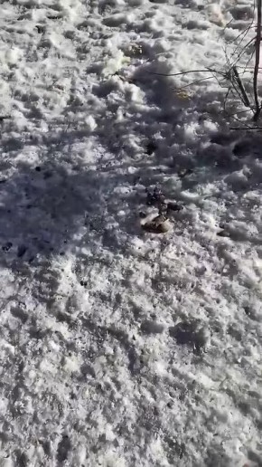 #��������. ����� ����� ����� � 42 ���� ������� �������� ������!