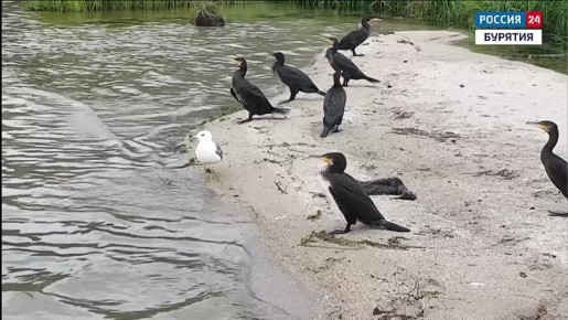 ������� � �������� ������ ������� ��������� ������� ���� �� ��������