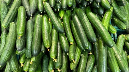 Соленые огурцы: неожиданные преимущества для здоровья из вашего холодильника