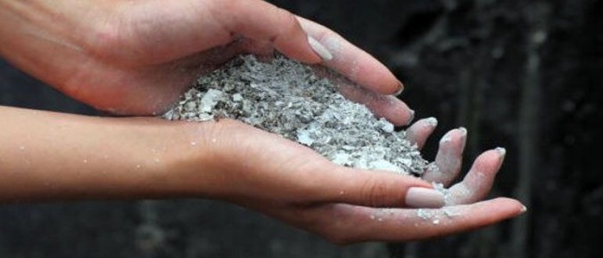 Как правильно использовать древесную золу в садоводстве