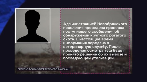 В Бурятии нашли стихийный скотомогильник