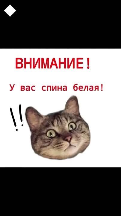 С 1 апреля, подписчики!. Побольше вам радости и хорошего настроения! Настраиваемся на рабочий день и выбираем своего мемного героя - псс, у вас спина белая! Канал Ариг Ус в MAX