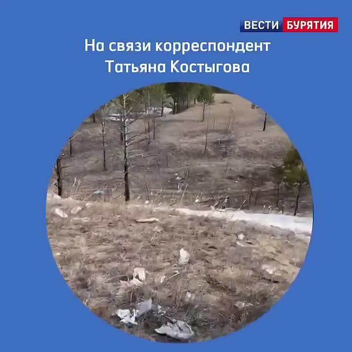 В Заиграевском районе убрали туши животных, найденные возле села Новая Брянь