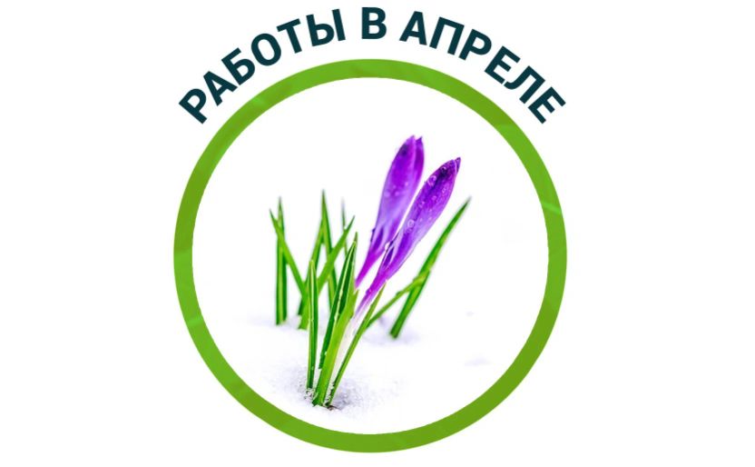 Апрель в саду: как подготовиться к активному сезону