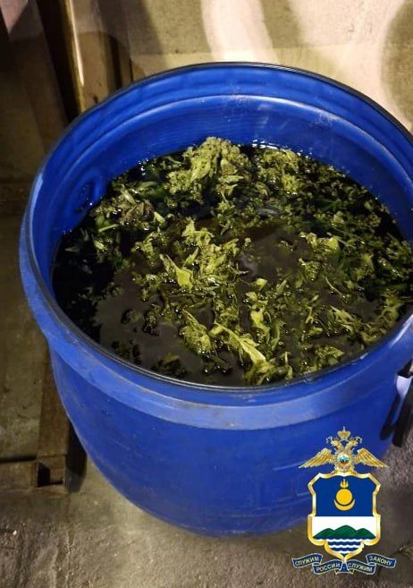 1,5 кг наркотиков и 3 миллиона рублей: фитнес-тренер вел наркобизнес в Улан-Удэ