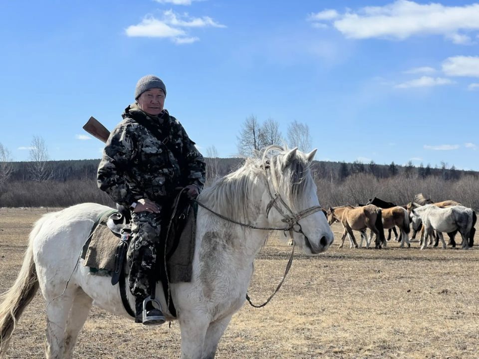 «Это были гастролеры»: скотник из Бурятии спас табун лошадей от хищников
