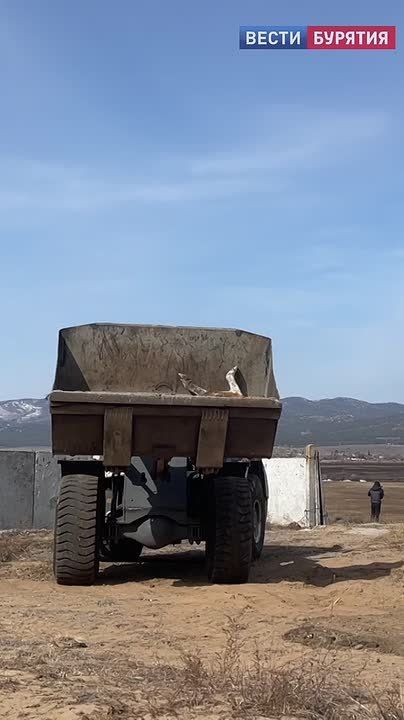 Кадры из Заиграевского района