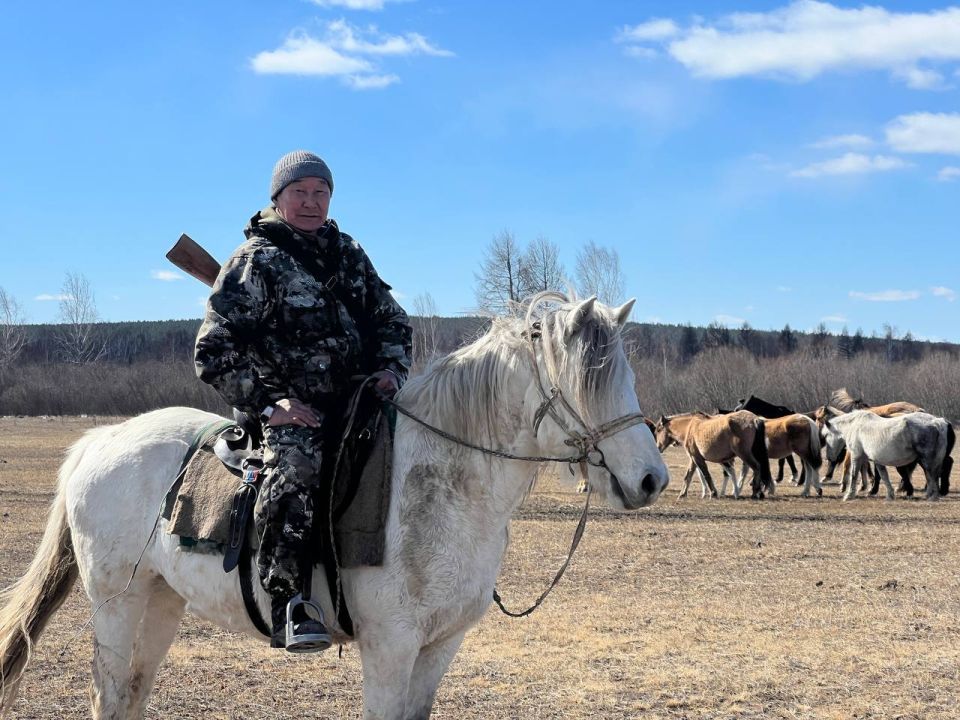 Скотник из Еравнинского района спас табун лошадей от нападения волков