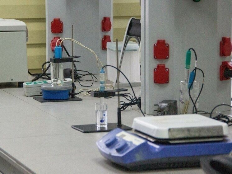 Опасность на кухне: грязные губки могут угрожать вашему здоровью