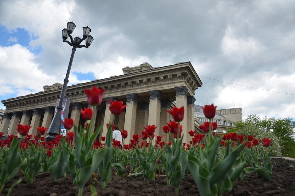 Творческие работники Новосибирска получают возможность досрочной пенсии