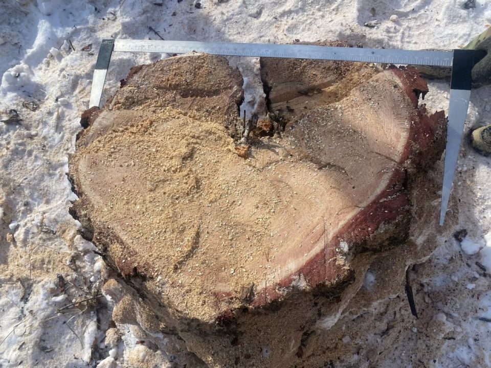 Заместитель прокурора республики утвердил обвинительное заключение по уголовному делу в отношении двух жителей Заиграевского района