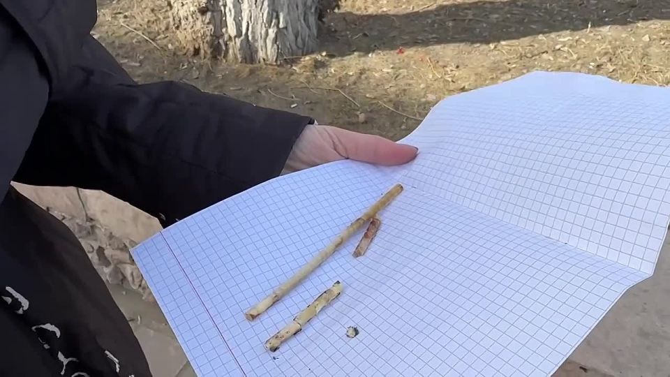 К 360-летию Улан-Удэ украсят голубыми елями