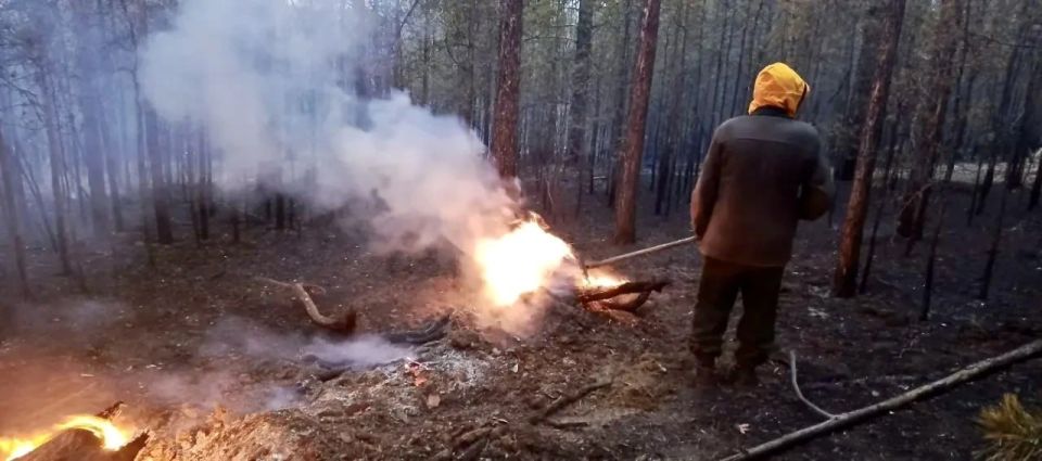 В Бурятии зарегистрирован третий лесной пожар
