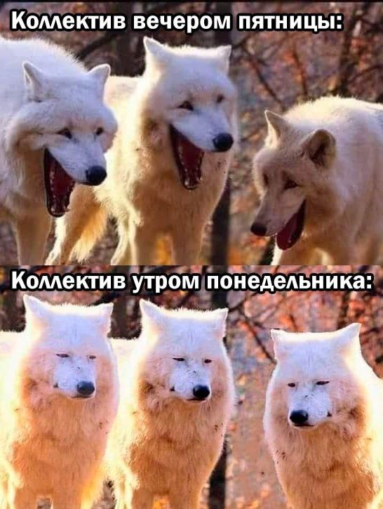 С добрым утром! Дорабатываем недельку и газ тусоваться отсыпаться)